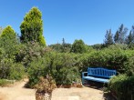 Blue bench in herb garden